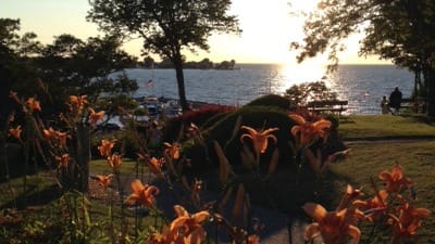 beautiful shoreline park sunrise with orange lilies amid trees with benches