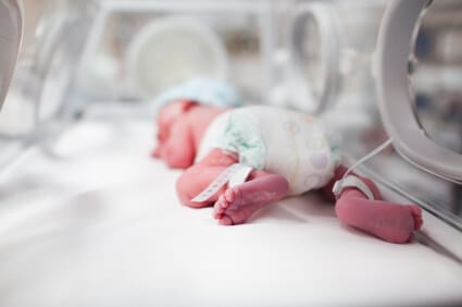 premature newborn baby in incubator