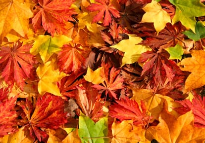 Changing Colors and Avoiding Relapse