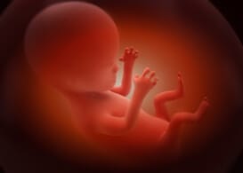 Fetal Alcohol Syndrome