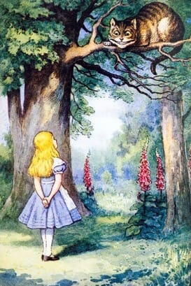 an illustrated image of alice talking with the cheshire cat from the novel alice in wonderland illustrating the dangers of lsd