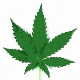 an artists rendering of a marijuana leaf illustrating that marijuana use often serves as a gateway experience to drug addiction
