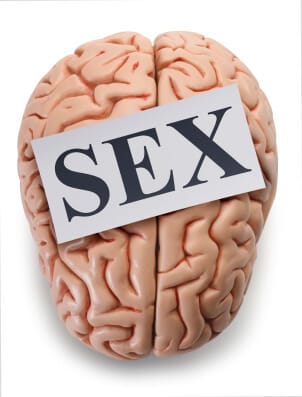 model of human brain with the word sex overlaid